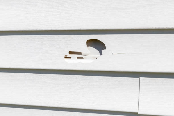 Best Vinyl Siding Installation  in Circleville, OH